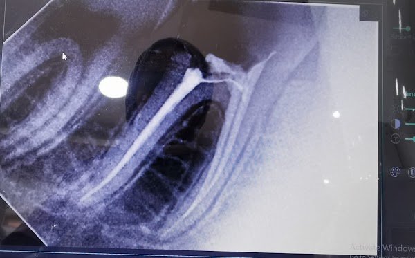 Dr Sondos AlWazani Dentist